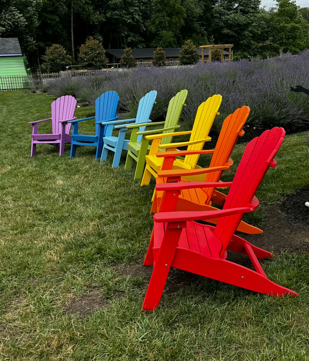 Colorful adirondack chairs lined up in a row.